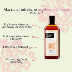 Šampón na posilnenie a objem vlasov No1 Nuggela & Sulé 250ml