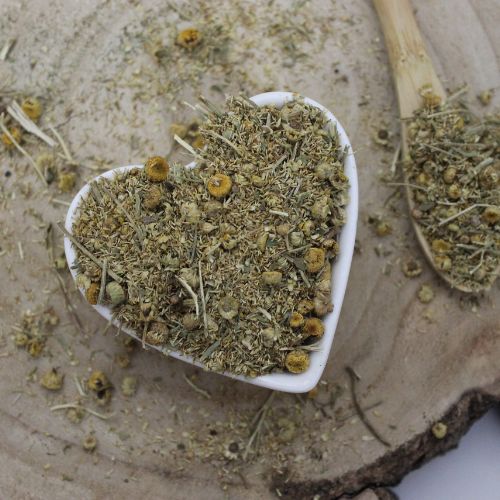Vratič obecný -list nařezaný-Tanacetum vulgare