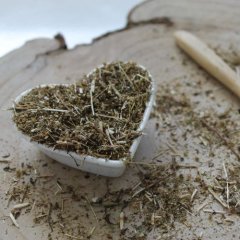 Palina ročná - Artemisia annua Palina ročná - Artemisia annua