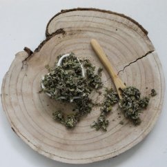 Podbiał suszone liście - Tussilago farfara L.