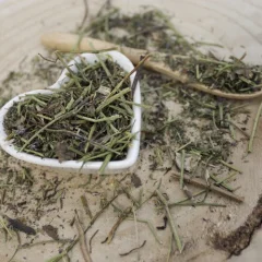 Fumaria officinalis - Herba fumariae Fumaria officinalis - Herba fumariae
