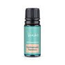 Ätherisches Zitronengrasöl Venoc 10 ml