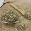 Wormwood - cut herb - Artemisia absinthium - Herba artemisiaiae absinthium Emerosa