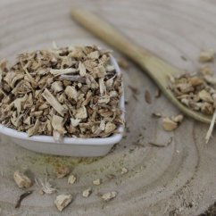 Listnatec pichlavý -koreň rezany - Ruscus aculeatus