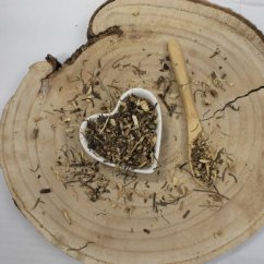 Cięcie korzenia Echinacea - Echinacea radix cs.