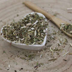 Zlatobyľ obyčajná - vňať narezaná - Solidago virgaurea