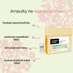 Ampulky pro regeneraci vlasů – dvouměsíční kúra Nuggela & Sulé 8x10 ml