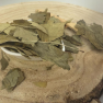 Jinan dvoulaločný - list celý - Ginkgo biloba - Folium ginkgo