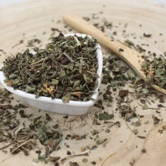 Melissa officinalis - Herba melissae