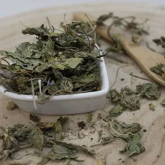 Dziki ślaz - liść cały - Malva sylvestris 
