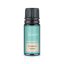 Essential oil Wormwood Venoc 10 ml