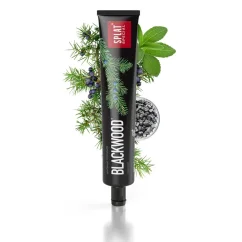 Zubní pasta Special BLACKWOOD černá SPLAT 75 ml 2 Zubní pasta Special BLACKWOOD černá SPLAT 75 ml 2