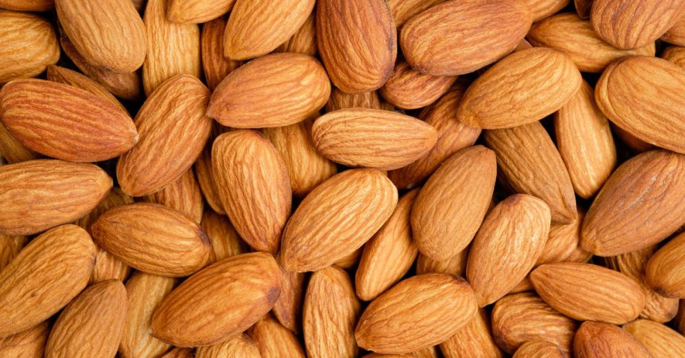 Almonds: health benefits, how much to eat, and what to watch out for