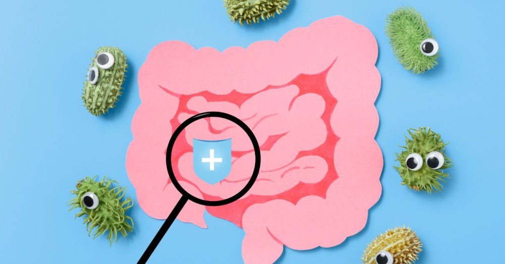 Probiotics: Everything You Need to Know