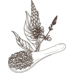 Chia mag olaj 100% Alteya Organics 50 ml