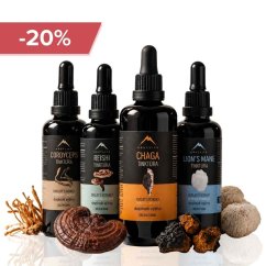 Starter pack nalewek - Chaga + Reishi + Cordyceps + Lion's mane nalewka 100ml Hrotlife