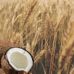 Šampón na lámavé vlasy a rozštiepené končeky Pšenica a kokosové mlieko Aroma 400 ml