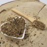 Kozłek lekarski cięty - Valeriana officinalis