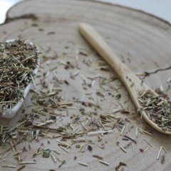 Lebiodka pospolita - Origanum vulgare