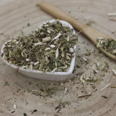 Zlatobyľ obyčajná - vňať narezaná - Solidago virgaurea Zlatobyľ obyčajná - vňať narezaná - Solidago virgaurea
