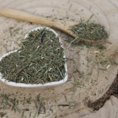 Skrzyp wiejski - pokrojony - Equisetum arvense 
