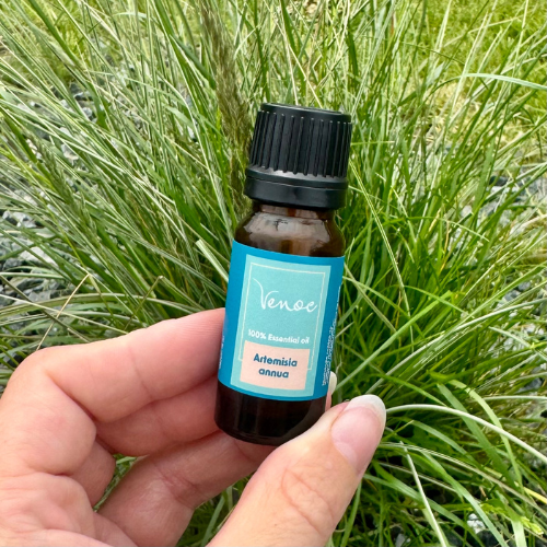 Esenciální olej Pelyněk roční Venoc 10 ml