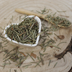Pinus sylvestris - Folium pini silvestris
