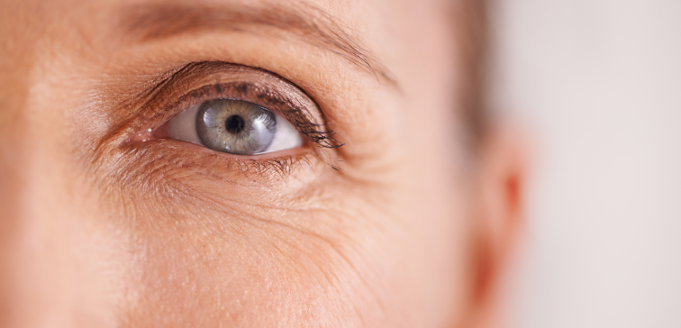 Rose in cosmetics: Preventing skin ageing and anti-ageing effects