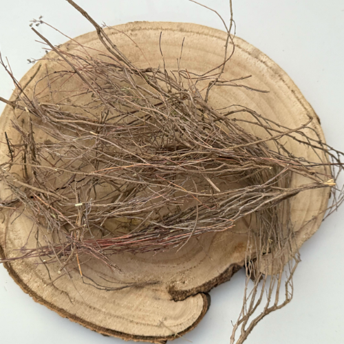 Tymián obyčajný - vňať celá - Thymus vulgaris - Folium thymi vulgaris