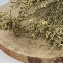 Rebríček kvet celý - Achillea millefolium flos tot. Rebríček kvet celý - Achillea millefolium flos tot.