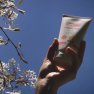 Opaľovacie telové mlieko Mango Baby & Family SPF50 Wooden Spoon 150ml