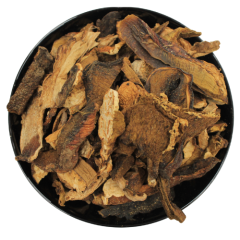 Boletus reticulatus