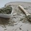 Rozmaryn leczniczy - Rosmarinus officinalis