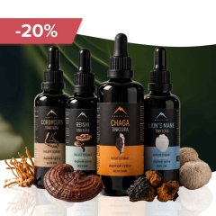 Starter pack tinktury - Chaga + Reishi + Cordyceps + Lion's mane tinktura 100ml Hrotlife