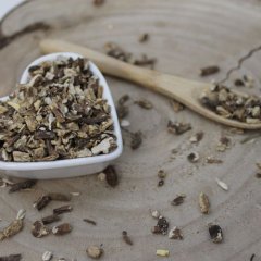 Archangelika lekárska narezaný koreň - Angelica archangelica