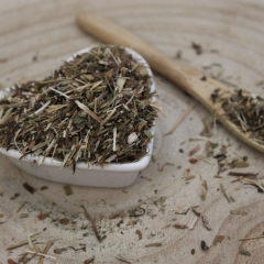 Zádušník brečtanovitý - vňať narezaná - Glechoma hederacea - Herba hederae terrestris