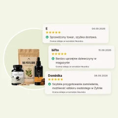 Wsparcie jelit - Poria cocos 90cps + Chaga nalewka 100ml + Psyllium BIO 150g Hrotlife