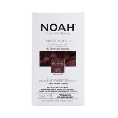 Krémová farba na vlasy červená tmavá blond - COLOR KIT 6.66 Intense Red - Noah 140ml Krémová farba na vlasy červená tmavá blond - COLOR KIT 6.66 Intense Red - Noah 140ml