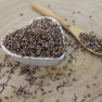 Vres obyčajný - kvet celý - Calluna vulgaris - Flos callunae