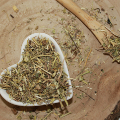 Kotvičník zemný - vňať narezaná - Tribulus terrestris - Herba tribulister