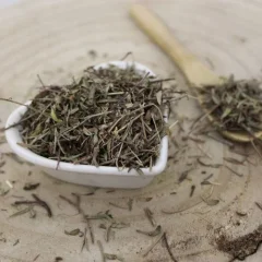 Garten-Bohnenkraut - geschnittenes Kraut - Satureja hortensis - Herba saturejae Emerosa