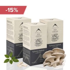 Imunita pro děti na celý podzim - Hlíva ústřičná s vitamínem C 180cps Hrotlife