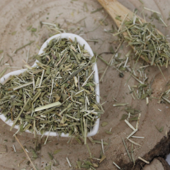 Torebka pasterska - wycięta w krwawnik - Capsella bursa-pastoris