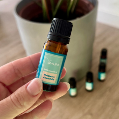 Esenciální olej Tea Tree Venoc 10ml