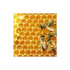 Včelí vosk Cera Alba 100% Bio Alteya 60g