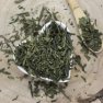 Zelený čaj Sencha-Theae green Sencha