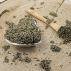 Cięcie pontyjskiego piołunu - Artemisia pontica Cięcie pontyjskiego piołunu - Artemisia pontica