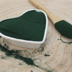 Spirulina - Arthrospira platensis