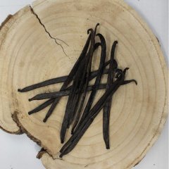 Duftende Vanille, Vanille Schote - ganze Frucht 1 Stück - Vanilla planifolia - Fructus vanillae Emerosa