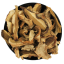 Boletus reticulatus